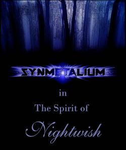 In the Spirit of Nightwish
